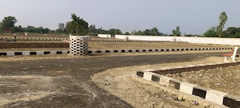 Plot For Resale in Bakhshi Ka Talab Lucknow  7945633