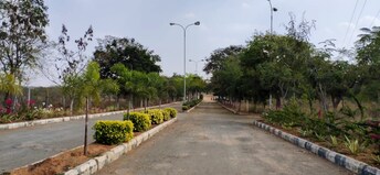 Plot For Resale in Neemsboro Manavooru Narayankhed Hyderabad  7946000