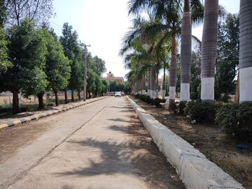  Plot – Exterior View View at Neemsboro Manavooru, Narayankhed - for Sale