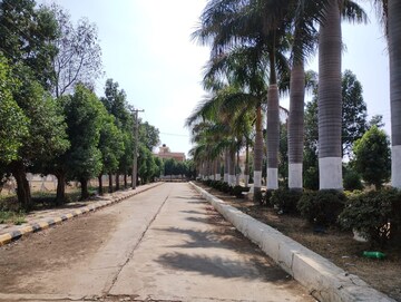  Plot – Exterior View View at Neemsboro Manavooru, Narayankhed - for Sale