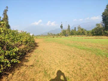  Plot For Sale in Herbertpur