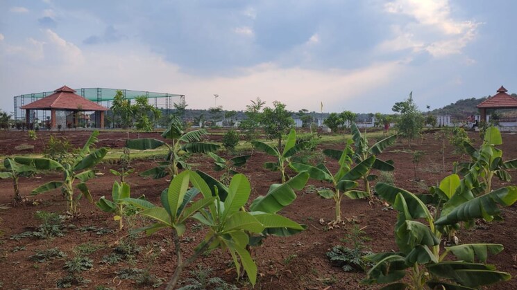 undefined, indresham  726 Sq.Yd. Plot In Indresham Hyderabad 7946202