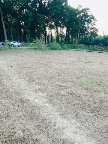 Plot Area in  Plot at Shimla Bypass Road – for Sale