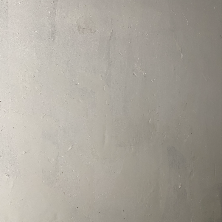 Room, ss-omnia Commercial Shop 431 Sq.Ft. In Badha Gurgaon 7946454