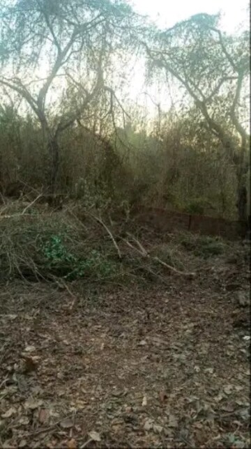  Plot – Exterior View View at Assonora - for Sale
