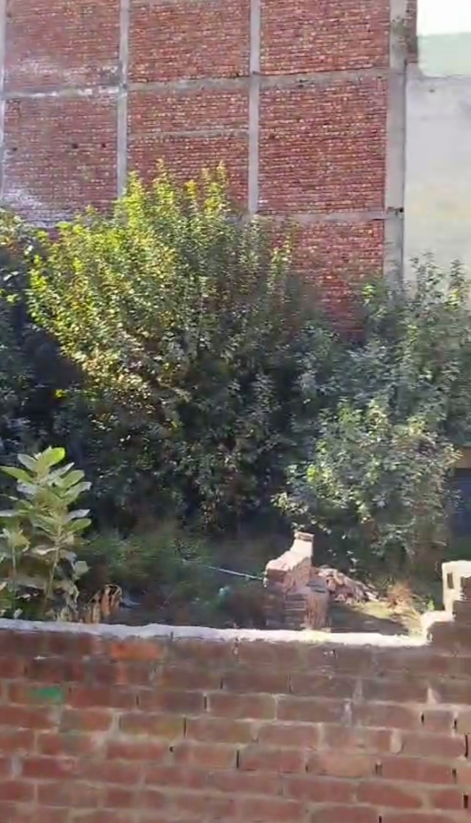 Plot For Sale in Balongi 