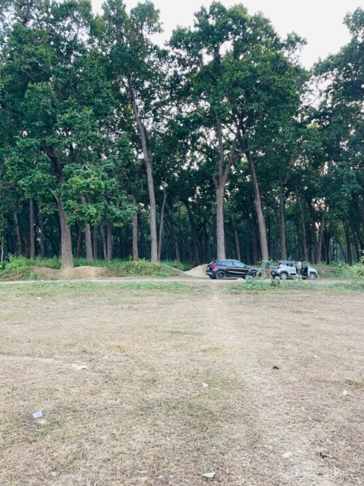 undefined, shimla bypass road  120 Sq.Yd. Plot In Shimla Bypass Road Dehradun 7946915