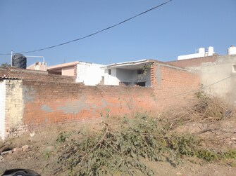 3 BHK Independent House For Resale in LudhianA-Chandigarh Hwy Mohali  7946971