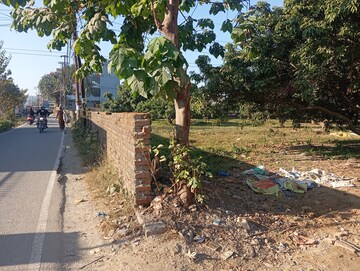 Plot Area in  Plot at Mohkampur – for Sale