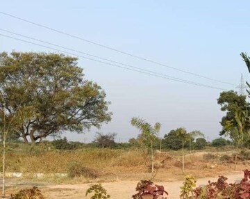Plot Area in  Plot at Shadnagar – for Sale