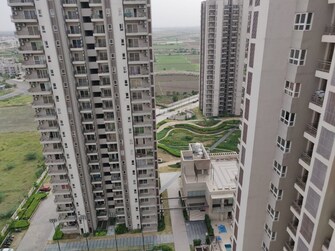 3 BHK Apartment For Rent in Adani M2K Oyster Grande Sector 102 Gurgaon  7947151