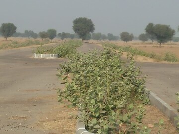 Plot Area in  Plot at Chaksu – for Sale