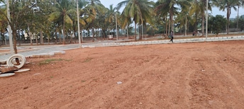 Plot For Resale in Hsr Layout Bangalore  7869351