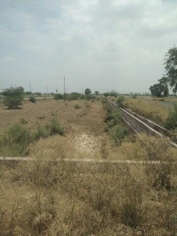 Plot Area in  Plot at Sector 145 – for Sale