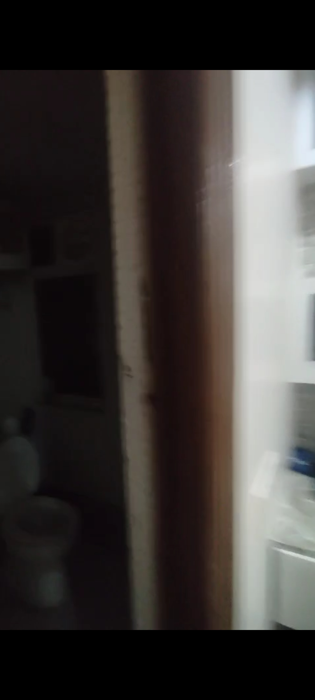 3 BHK + Pooja Room Apartment For Sale in SCC Sapphire