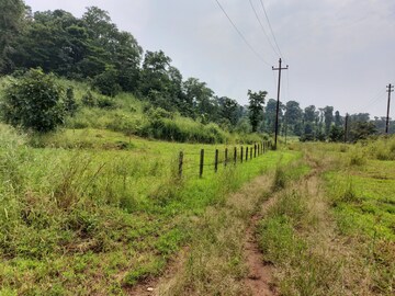 Plot Area in  Plot at Ambivali – for Sale