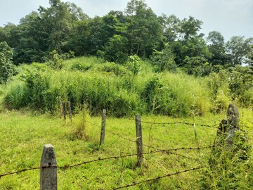  Plot – Exterior View View at Ambivali - for Sale