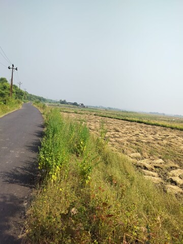 Plot Area in  Plot at Vindhane – for Sale