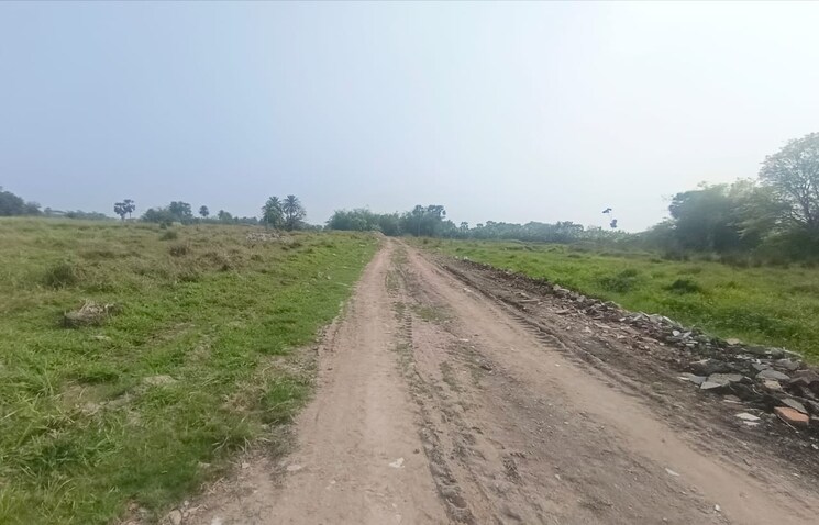 Exterior View, joka  2160 Sq.Ft. Plot In Joka Kolkata 7948226