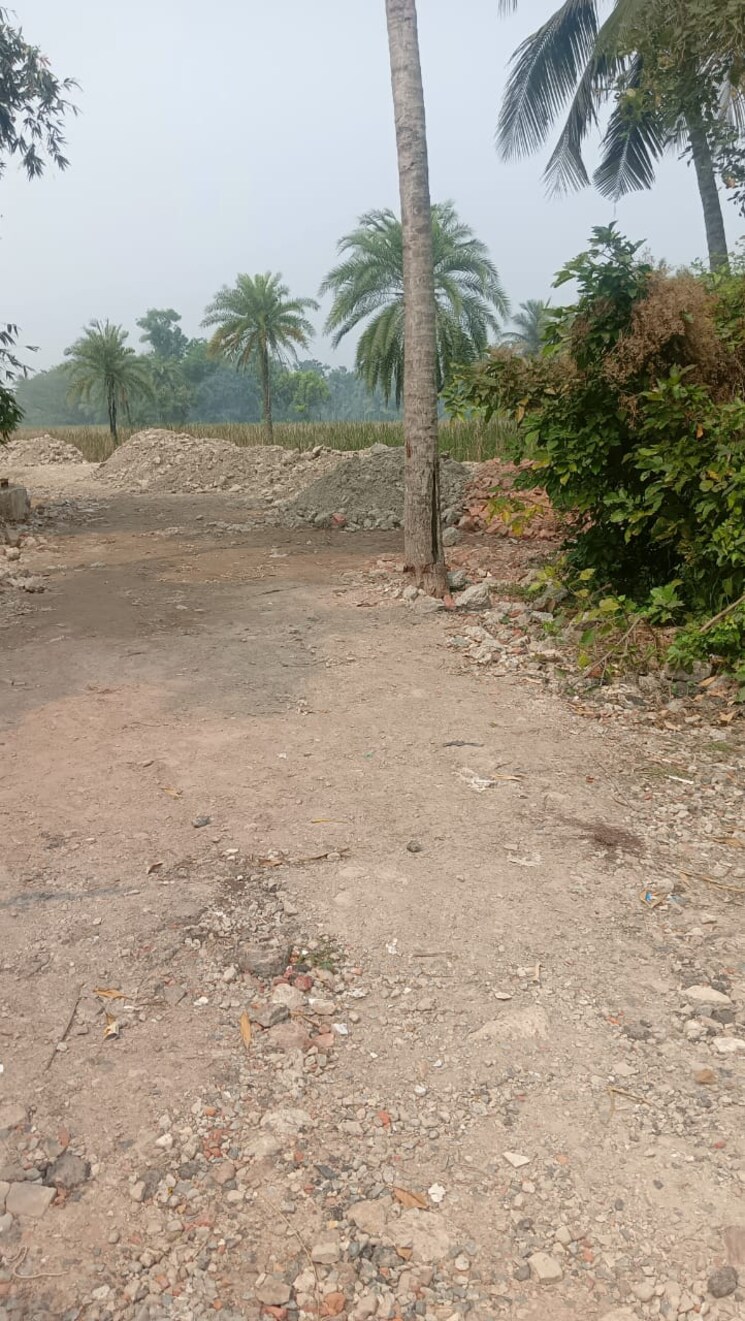 undefined, joka  2160 Sq.Ft. Plot In Joka Kolkata 7948226