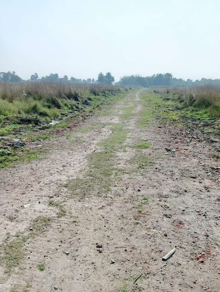 Exterior View, joka  2160 Sq.Ft. Plot In Joka Kolkata 7948226