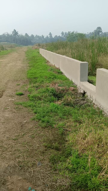 Plot Area in  Plot at Joka – for Sale