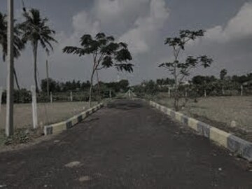 Plot Area in  Plot at Sector 135 – for Sale