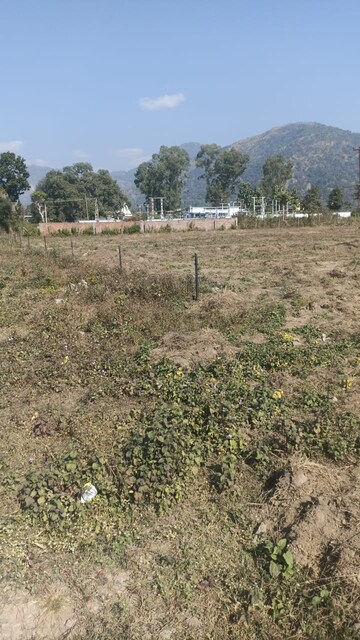 Plot For Resale in Jolly Grant Dehradun  7948407