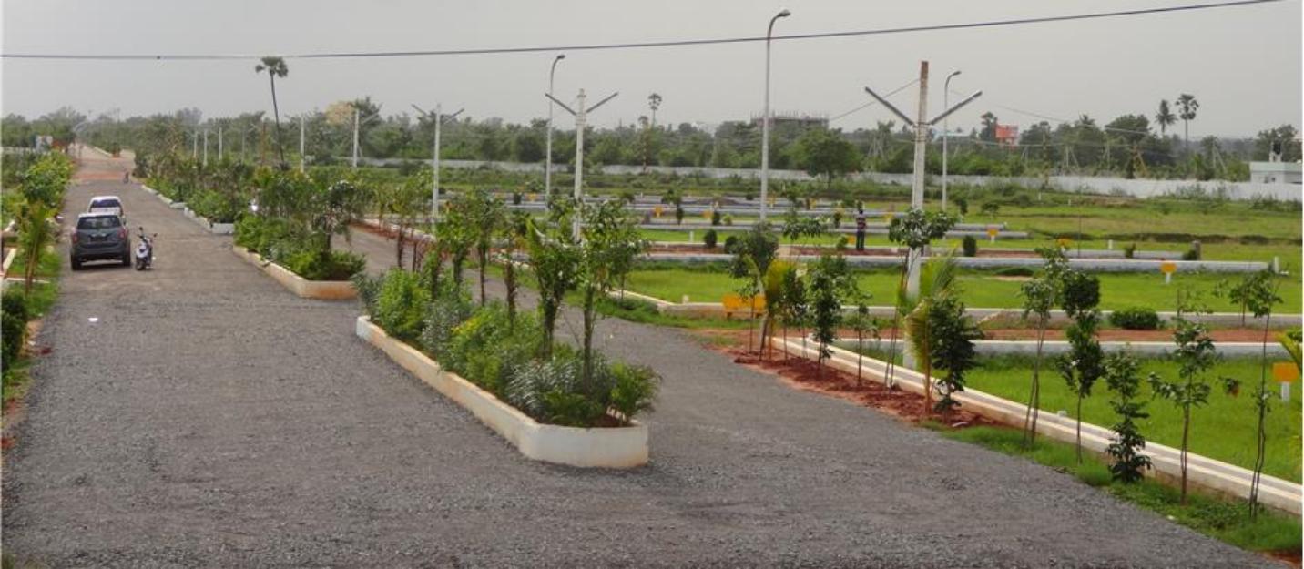 Plot For Sale in Residential Plots