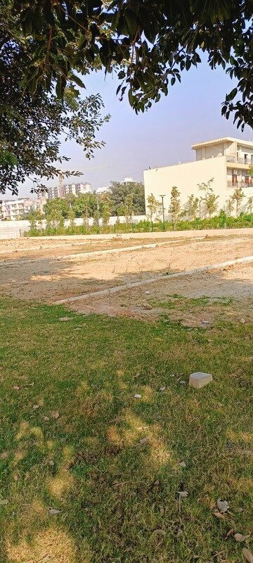 Plot Area in  Plot at Sector 84 – for Sale