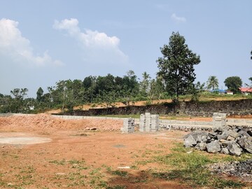 Plot Area in  Plot at Mulanthuruthy – for Sale