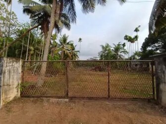 Plot For Resale in Mulanthuruthy Kochi  7948797