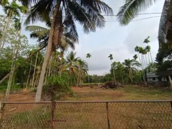 Plot For Resale in Mulanthuruthy Kochi  7948797