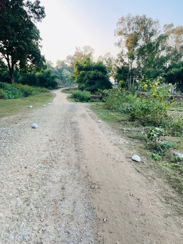  Plot For Sale in Shimla Bypass Road