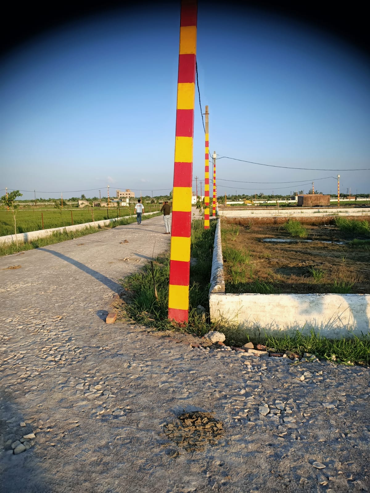 Plot For Sale in Safedabad