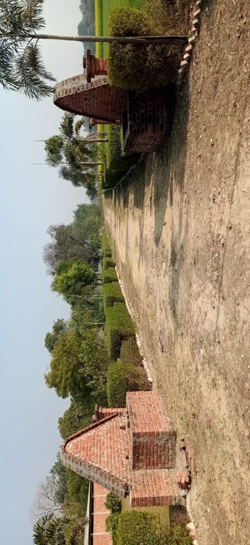Plot Area in  Plot at Safedabad – for Sale