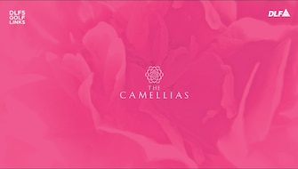 5 BHK Apartment For Resale in DLF The Camellias Sector 42 Gurgaon  7950204