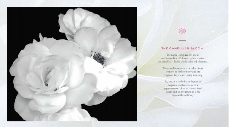 Master Bedroom, dlf-the-camellias 5 Bedroom 9419 Sq.Ft. Apartment In Sector 42 Gurgaon 7950204