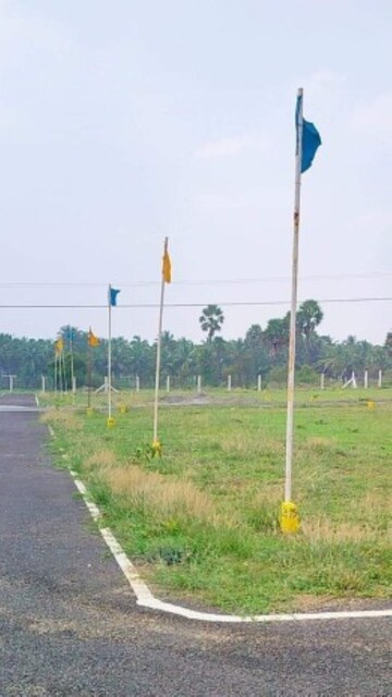  Plot For Sale in Yamuna Expressway
