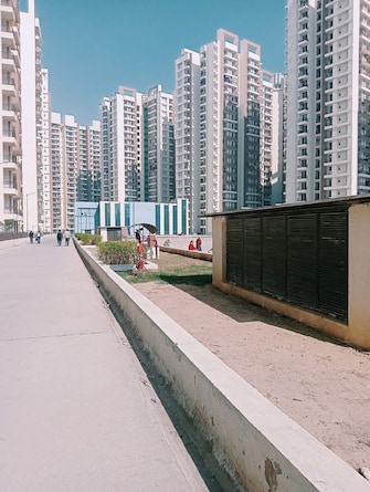 3 BHK Apartment For Resale in Amrapali Golf Homes Sector 4, Greater Noida Greater Noida  7950976