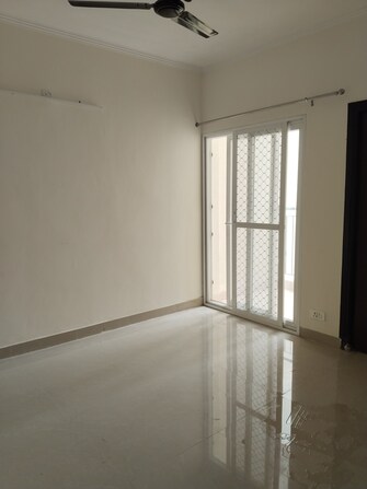 3 BHK Apartment For Rent in Amrapali Terrace Homes Noida Ext Tech Zone 4 Greater Noida  7950992