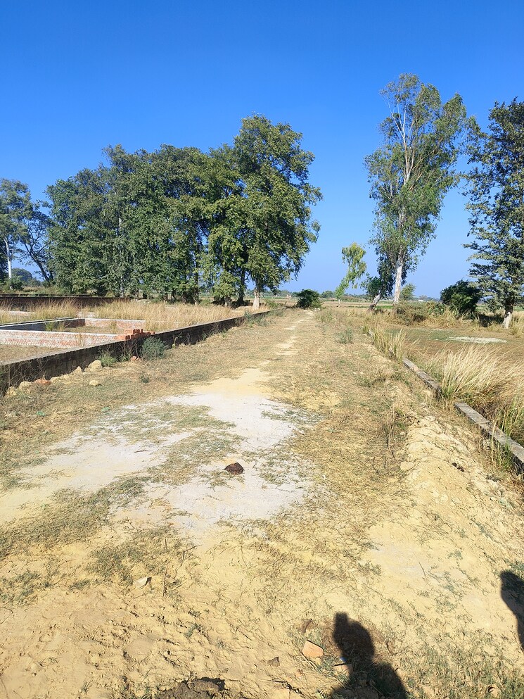 undefined, taqtical-town  1000 Sq.Yd. Plot In Safedabad Lucknow 7951092