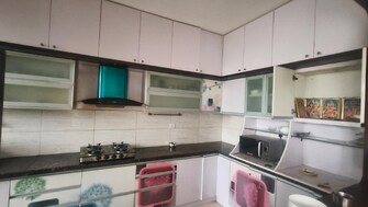 3 BHK Apartment For Rent in Prestige Silver Crest Kadubeesanahalli Bangalore  7951096