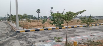 Plot For Resale in Bhashyam Rainbow County Shadnagar Hyderabad  7951168