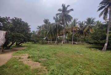 Plot Area in  Land at Kokapet – for Sale