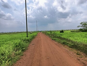 Plot Area in  Plot at Patrapada – for Sale
