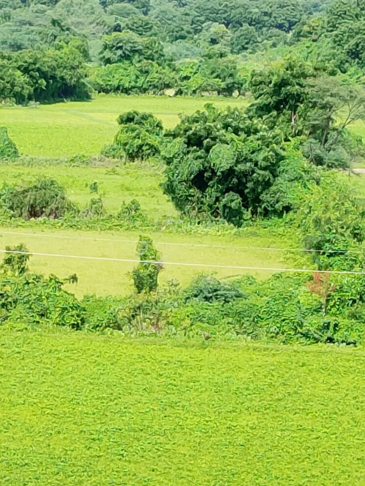 Garden, chandkheda 3 Bedroom 1980 Sq.Ft. Apartment In Chandkheda Ahmedabad 7951779