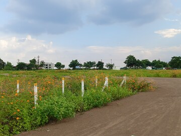 Plot For Resale in Gangapur Nashik  7951797