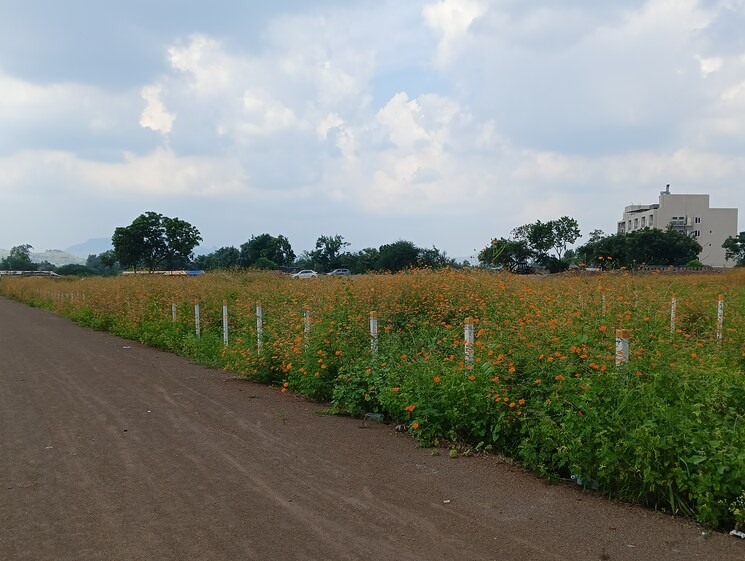 undefined, gangapur  250 Sq.Yd. Plot In Gangapur Nashik 7951797