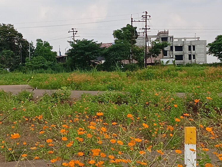 Exterior View, gangapur  250 Sq.Yd. Plot In Gangapur Nashik 7951797